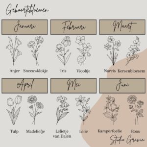 Geboortebloemen januari tm juni-Studio Gravin