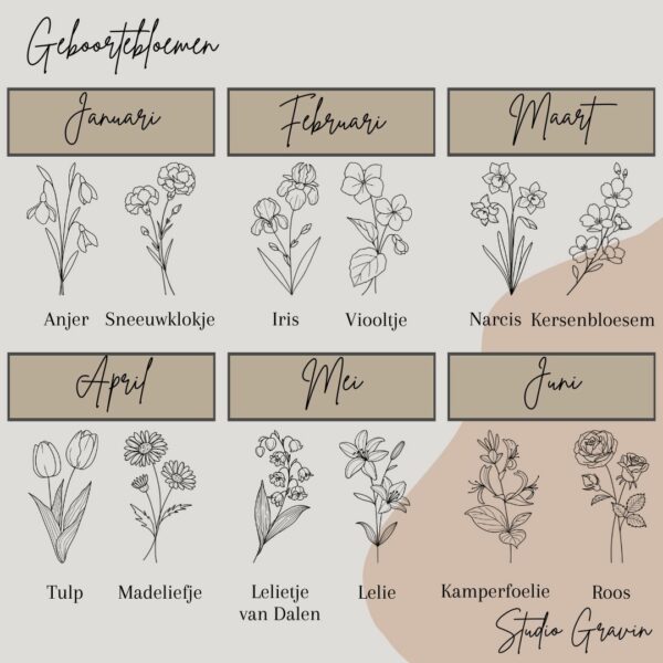 Geboortebloemen januari tm juni-Studio Gravin