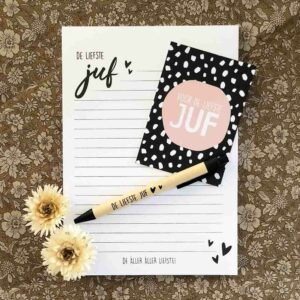 Speciale dagen-Meester & Juf-Notitieblok met pen juf-juf en meester cadeautje-Studio Gravin