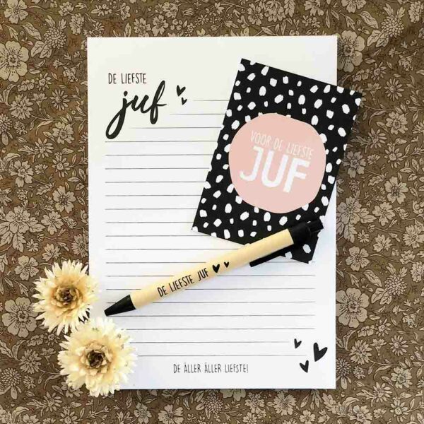 Speciale dagen-Meester & Juf-Notitieblok met pen juf-juf en meester cadeautje-Studio Gravin